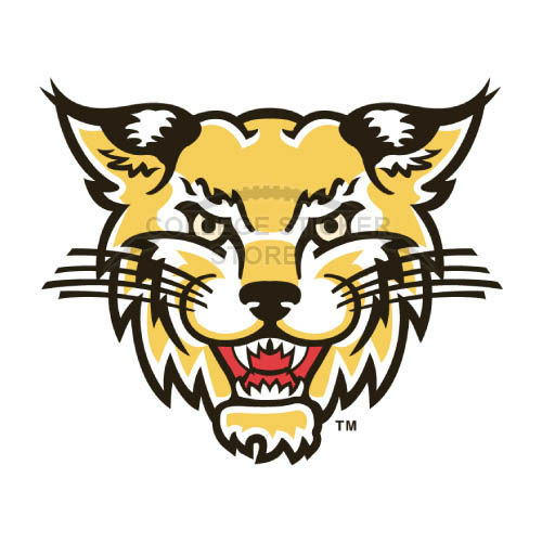 Diy Western Carolina Catamounts Iron-on Transfers (Wall Stickers)NO.6949